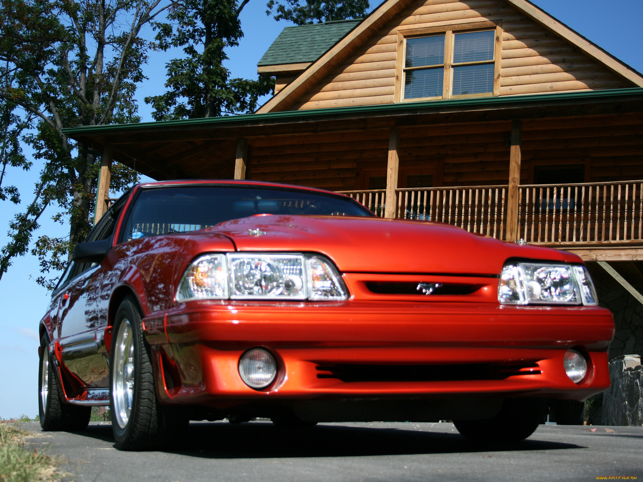 , mustang